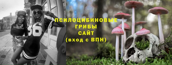 первитин Алексин