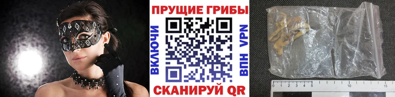 Псилоцибиновые грибы прущие грибы  Кинель 