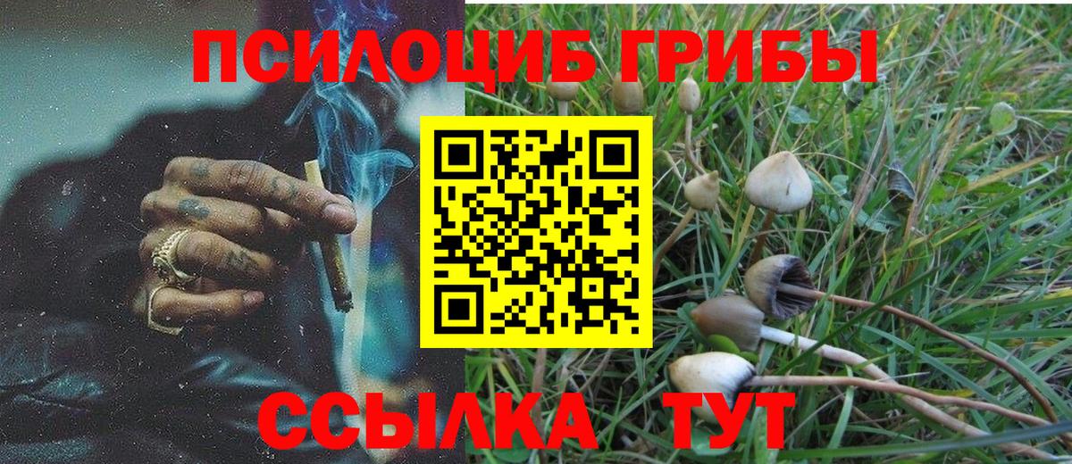 Псилоцибиновые грибы MAGIC MUSHROOMS Кинель