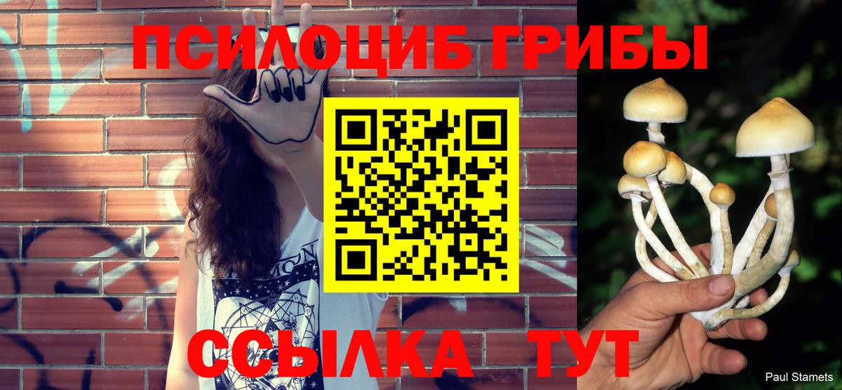 Галлюциногенные грибы Psilocybine cubensis  Вход с VPN  Кинель  Галлюциногенные грибы GOLDEN TEACHER 
